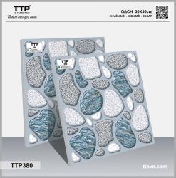 TTP380