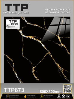 TTP 873