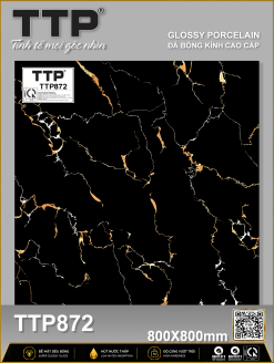 TTP 872