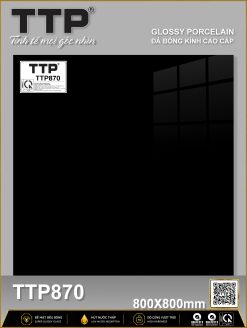 TTP 870